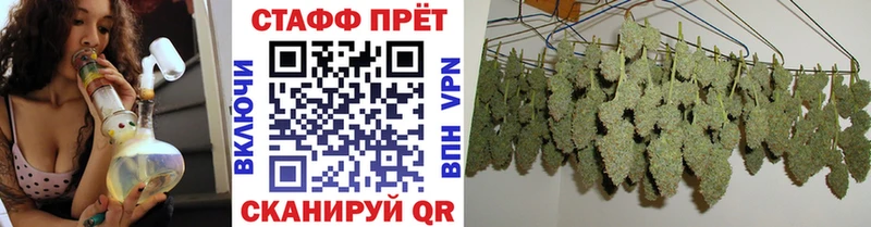 Сколько стоит Ленинградская Марихуана  Cocaine  ГАШ  СК  АМФЕТАМИН  MDMA  Меф  Псилоцибиновые грибы 