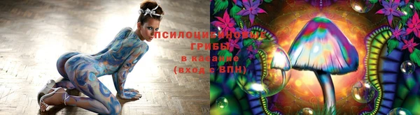 первитин Костерёво