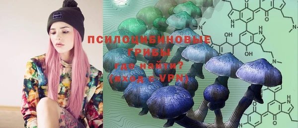 mdpv Коряжма