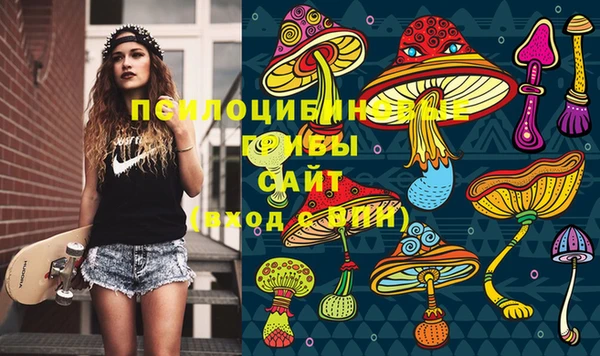 первитин Костерёво